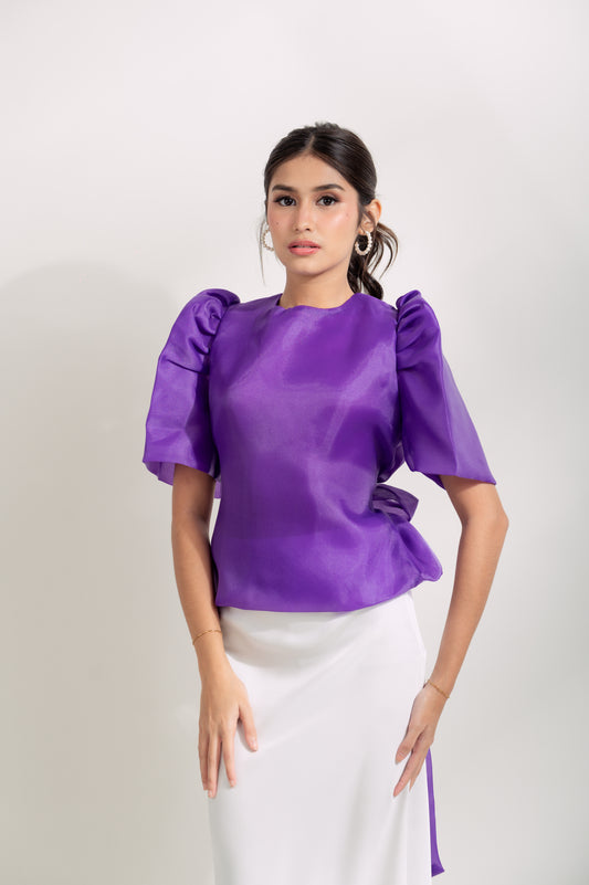 Teresa Silk Organza Tie Top