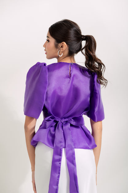 Teresa Silk Organza Tie Top